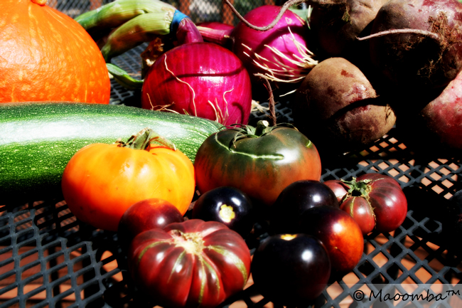 farmer's market fare 1