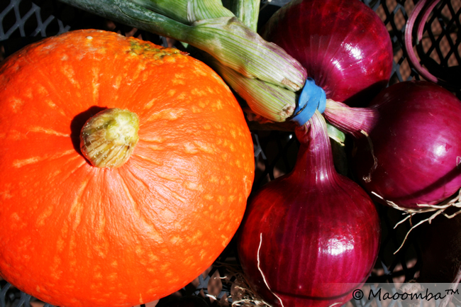 kuri squash and red onion