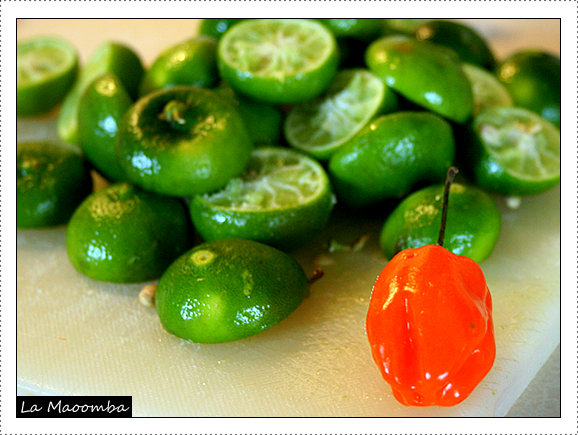 Belize - Limes and Habañero