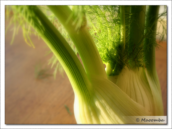 FennelTomatoSoupB 11182011