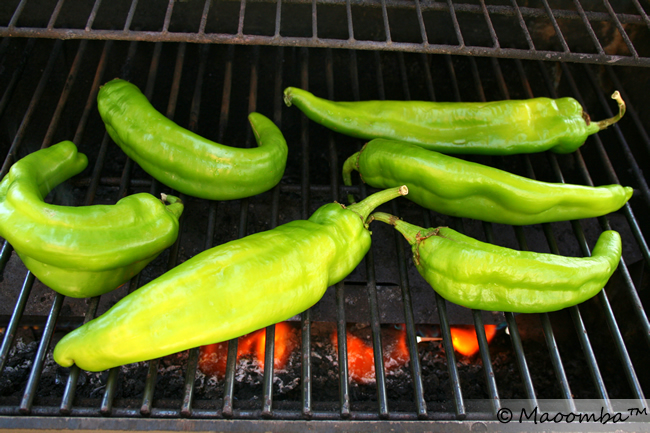 Dry roast the chiles