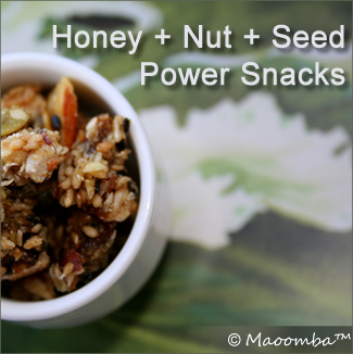 Honey Seed Power Snacks