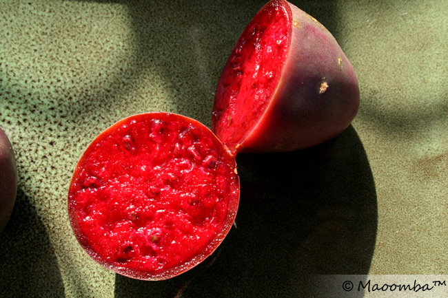 Tuna cactus fruit