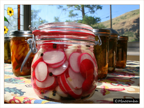 Lacto-fermented radish pickles with garlic and peppercorns