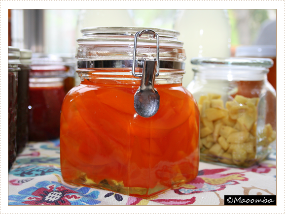 Candied grapefruit peels and ginger
