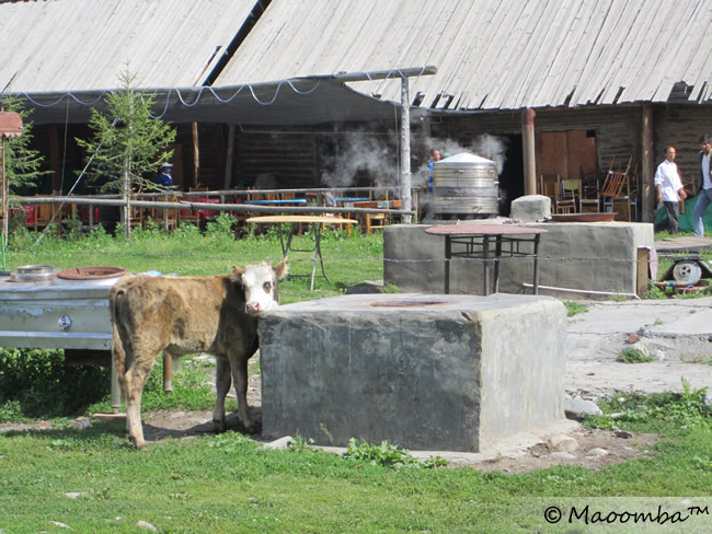 An outdoor kitchen in the village of Hemu in Kanas.
