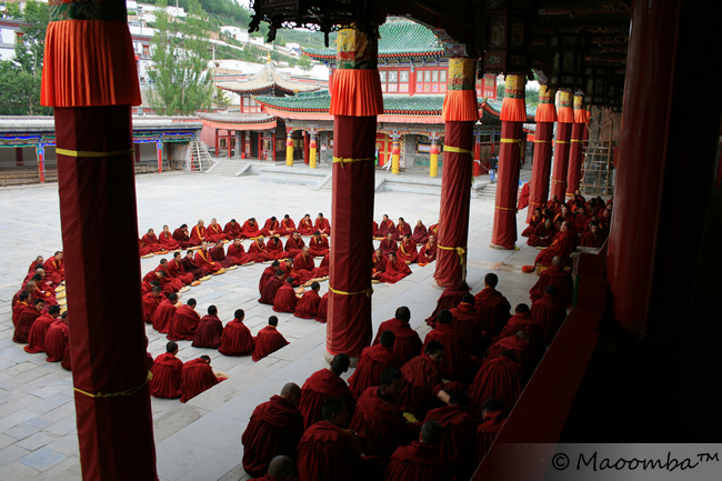 Monks chanting at Kumbum Monastery in Xining, outskirts of Tibetan Autonomous Region