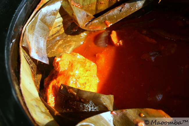 Cochinita Pibil - Stormy Sweitzer (15)