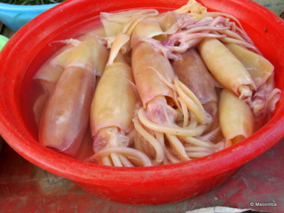 D – Dunhuang markets squid Dunhuang markets squid