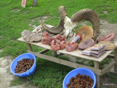 Tuvan Village nuts, fungus, herbs