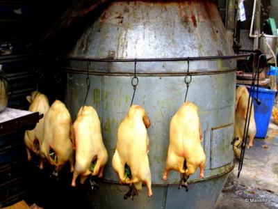 J5 – Shanghai ducks Shanghai ducks